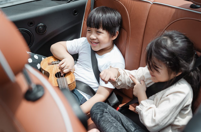 safety belts